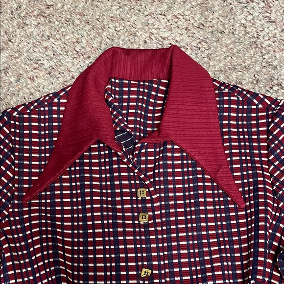 Vintage 60s huge collared Red and Blue Checkered pleated button front dress - Picture 2 of 10